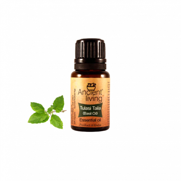 Ancient Living Basil Essential Oil - 10 ml - Image 4