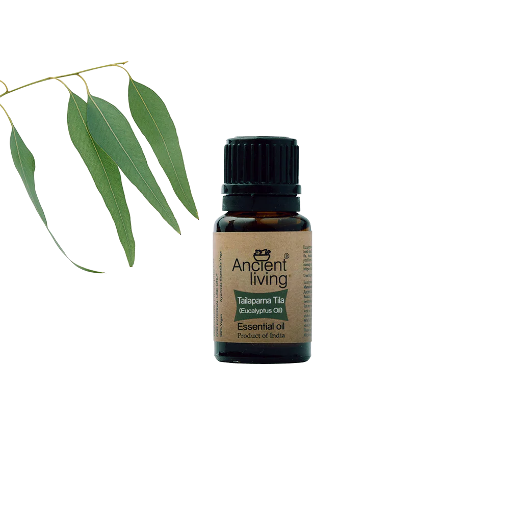 Ancient Living Eucalyptus Essential Oil - 10 ml - Image 3