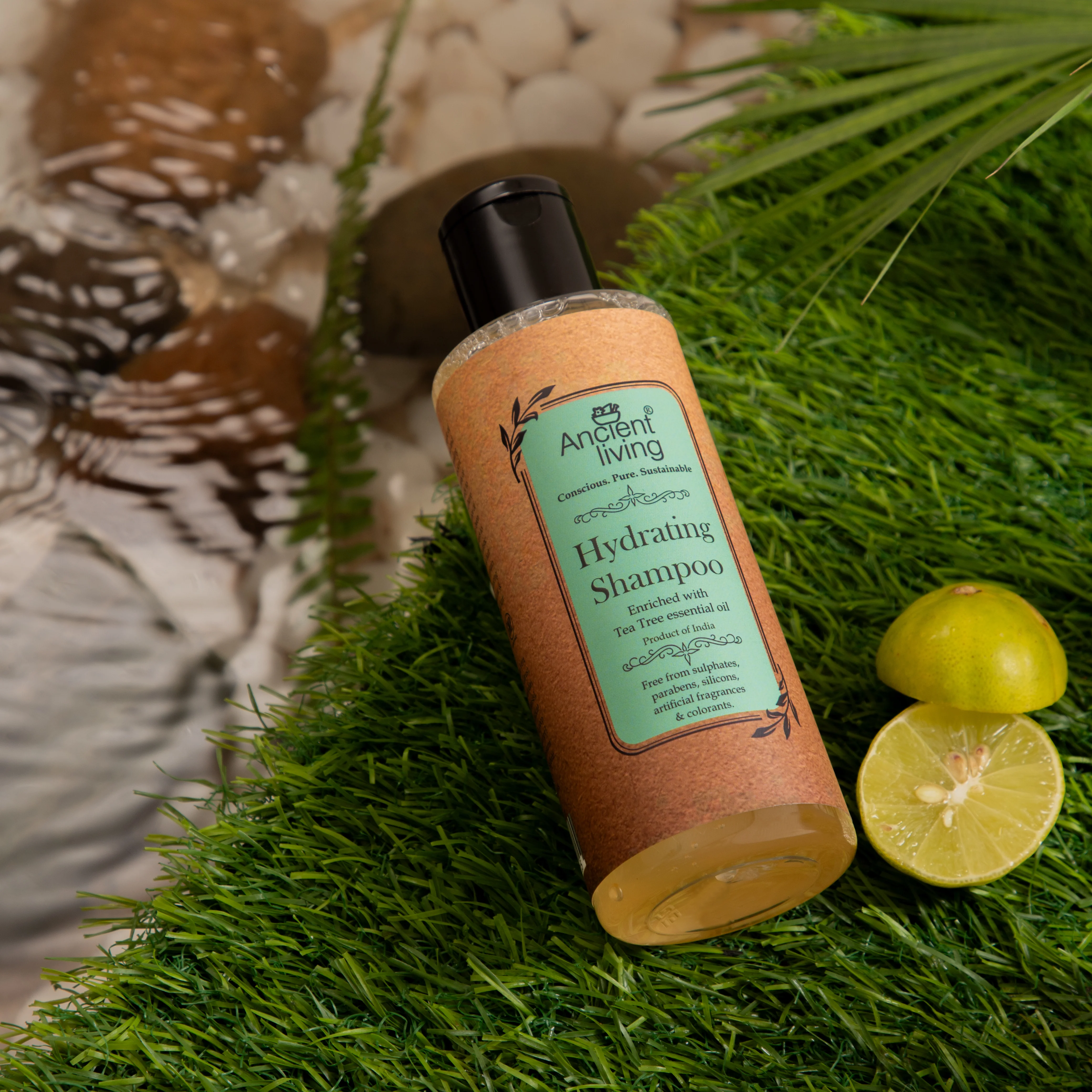 Ancient Living Hydrating Shampoo 200ml– Pure Herbal Care for Healthy, Nourished Hair 🌿✨ - Image 5