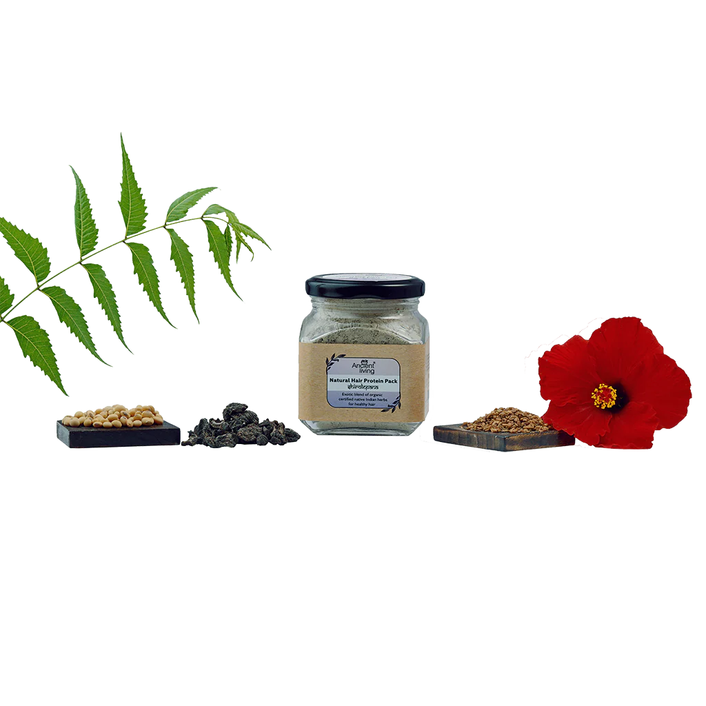 Ancient Living Natural Hair Protein Pack | Organic Certified Ingredients | Chemical Free Pack for Healthy Hair - 100 gm - Image 8