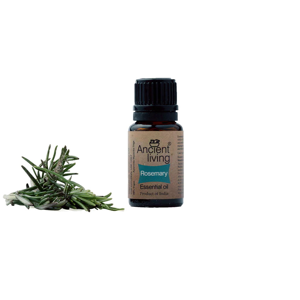 Ancient Living Rosemary Essential Oil - 10 ml - Image 3