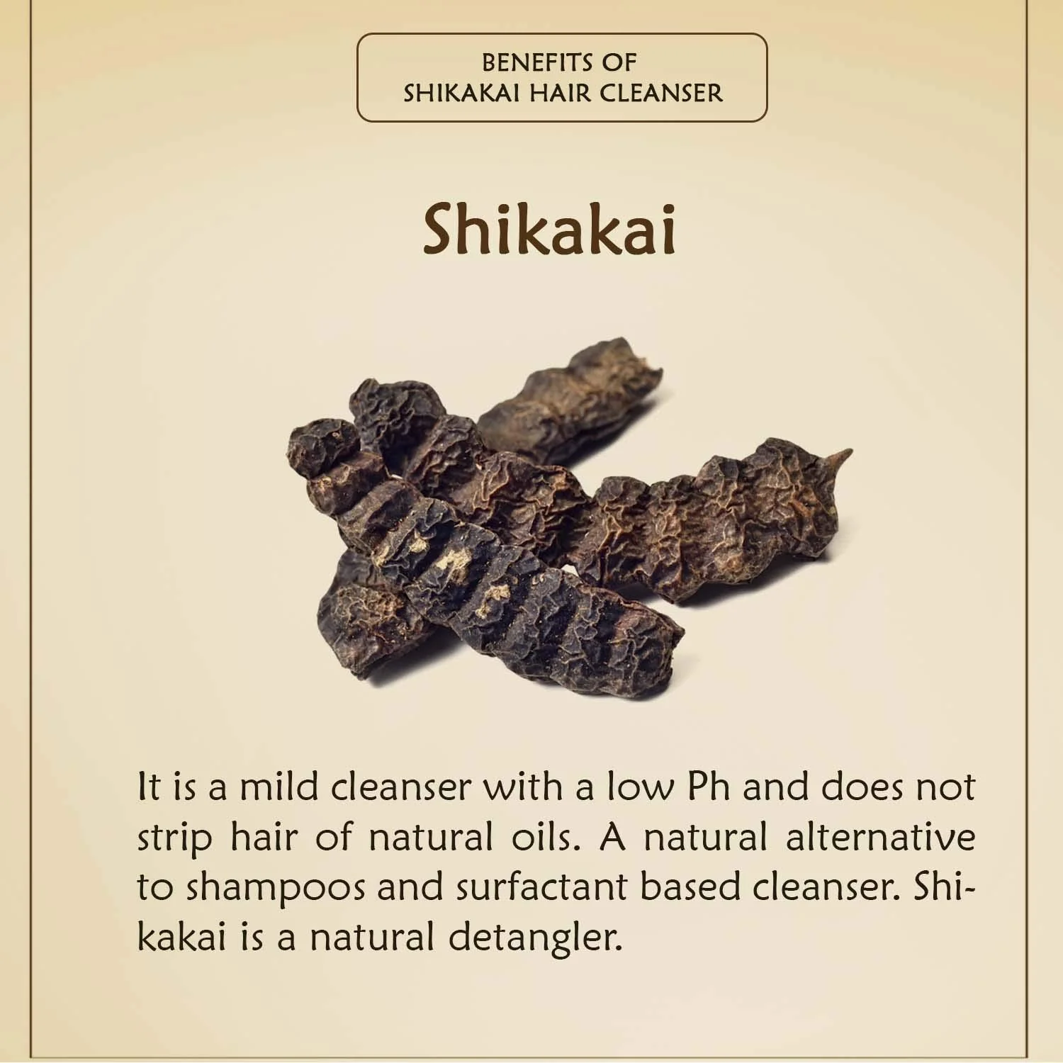 Ancient Living Shikakai Hair Cleanser - Jar - 100 gm - Image 3