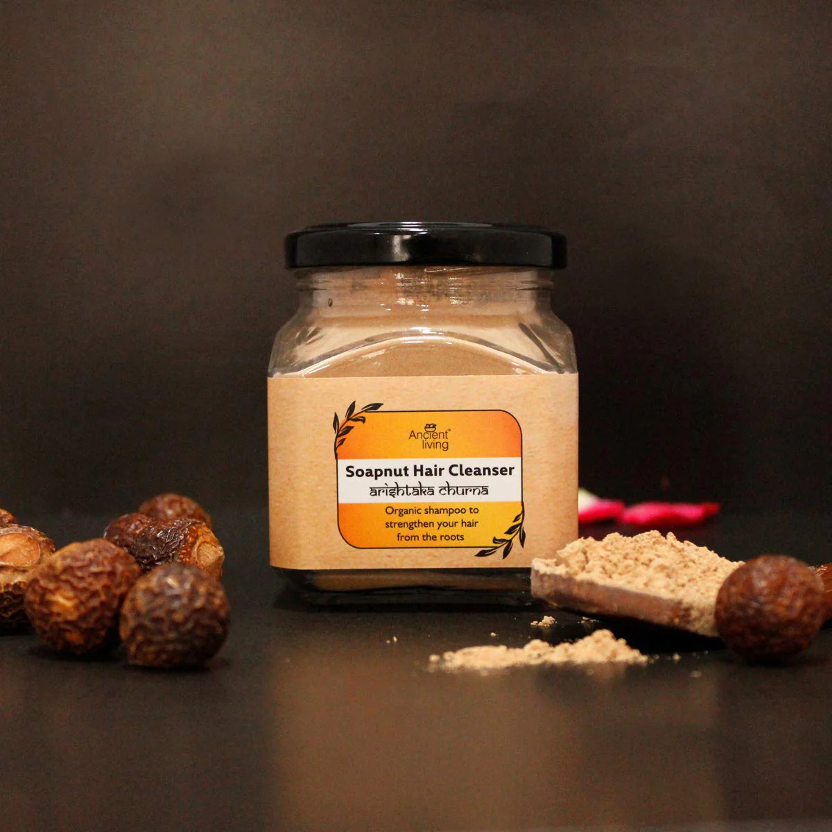 Ancient Living Soapnut Hair Cleanser - Jar - 100 gm - Image 3