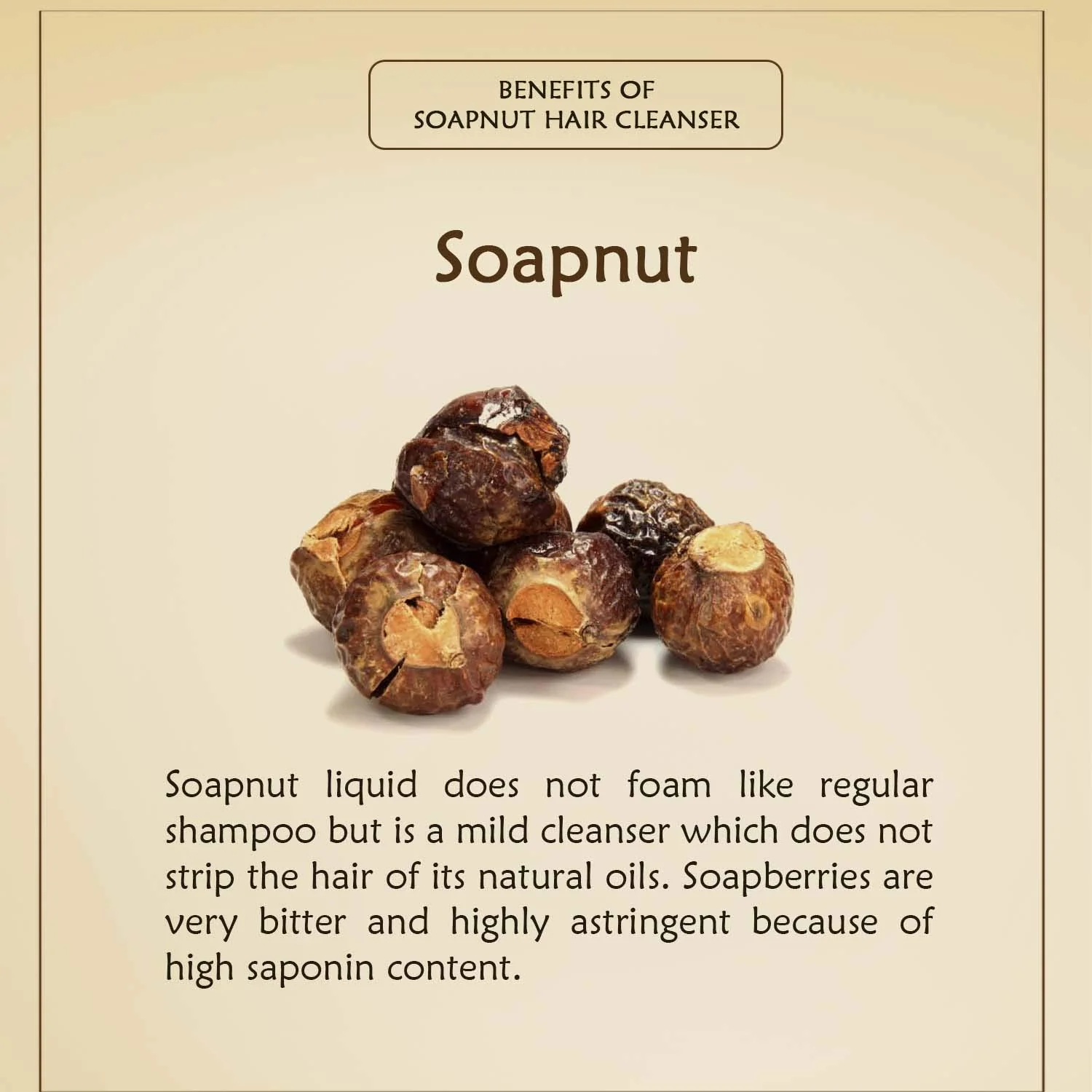 Ancient Living Soapnut Hair Cleanser - Jar - 100 gm - Image 6