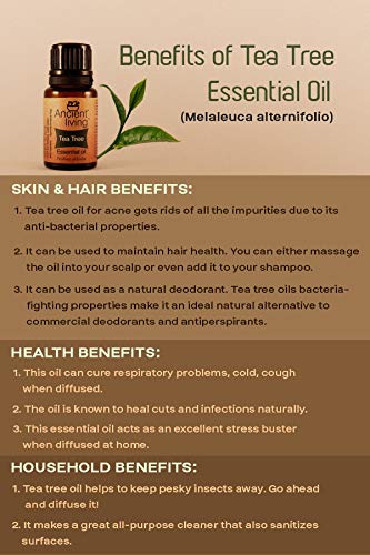 Ancient Living Tea Tree Essential Oil - 10 ml - Image 3