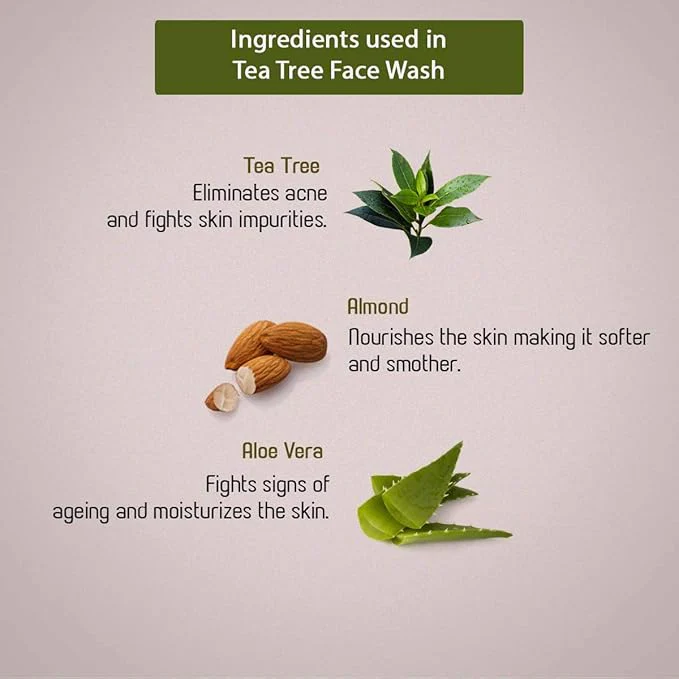 Ancient Living Tea tree Face Wash - 100 ml - Image 4