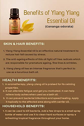 Ancient Living Ylang Ylang Essential Oil - 10 ml - Image 3